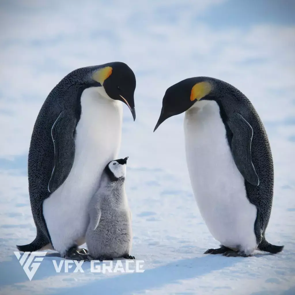 Emperor Penguin Animated  VFX Grace 3D model