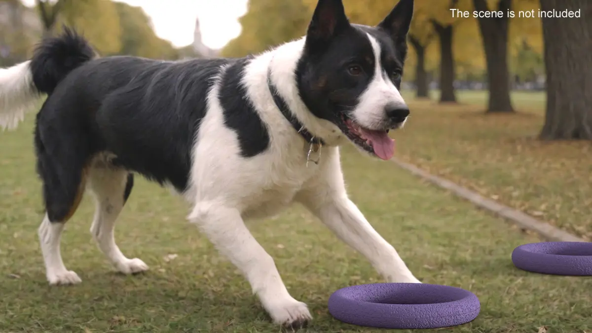 Interactive Dog Toy Puller Midi Used 3D model