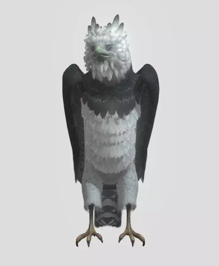 Harpy eagle Low-poly 3D model