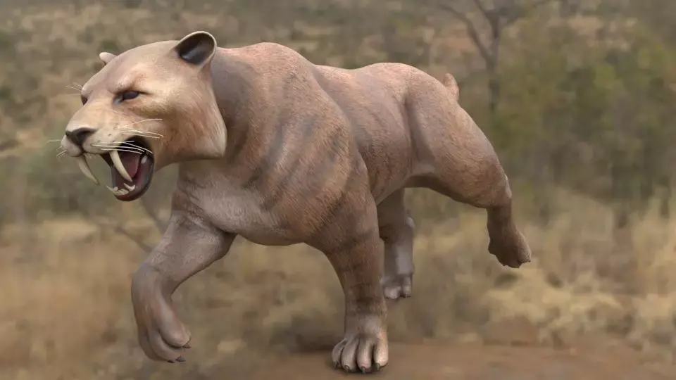 lione panther running in wild 3D model