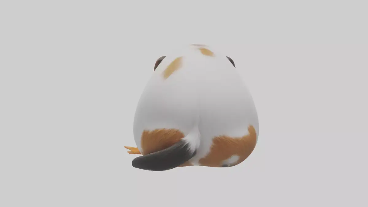 Guinea Pig nibbling model Low-poly 3D model