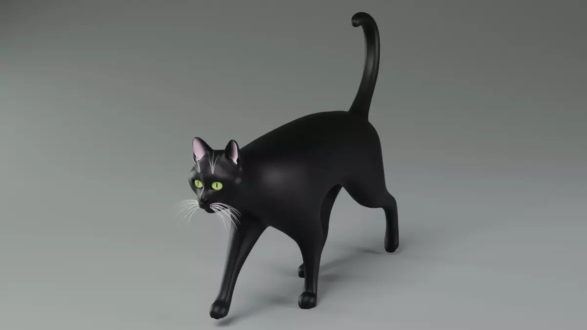 Domestic Black Cat 001 3D model