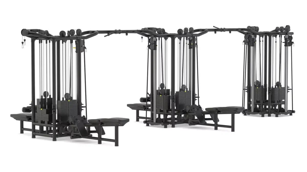 Technogym Cable Stations 12 3D model