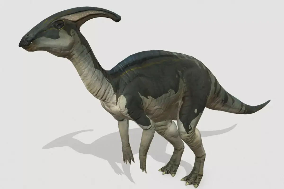 Parasaurolophus Low-poly 3D model