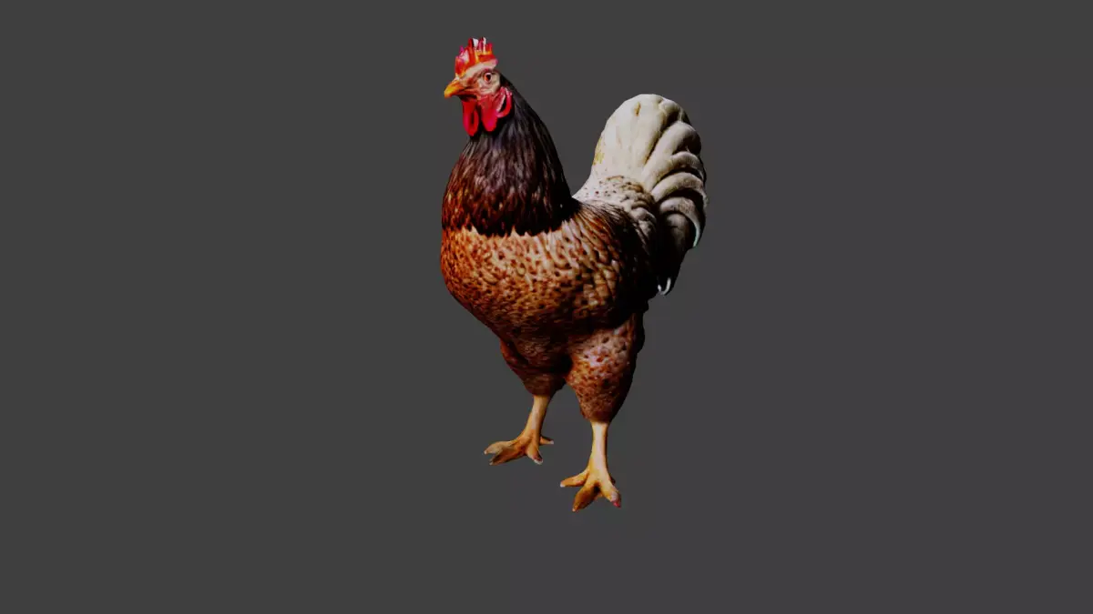 Chicken  Low-poly 3D model purchase