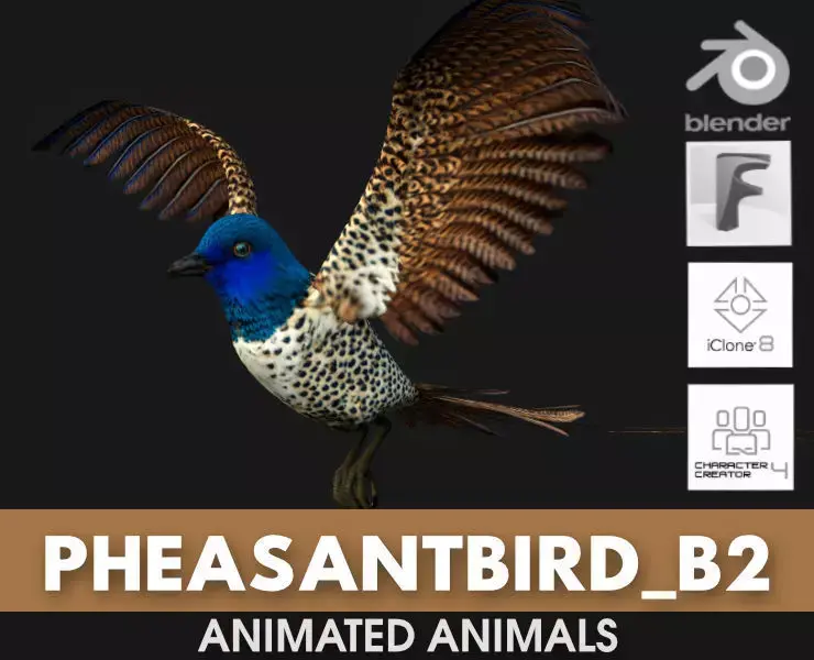 PheasantBird B2 3D model