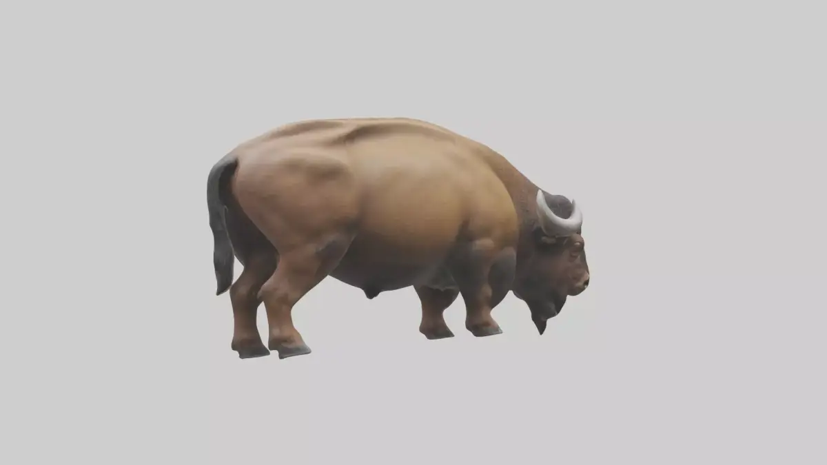 Bison grazing model 3D model