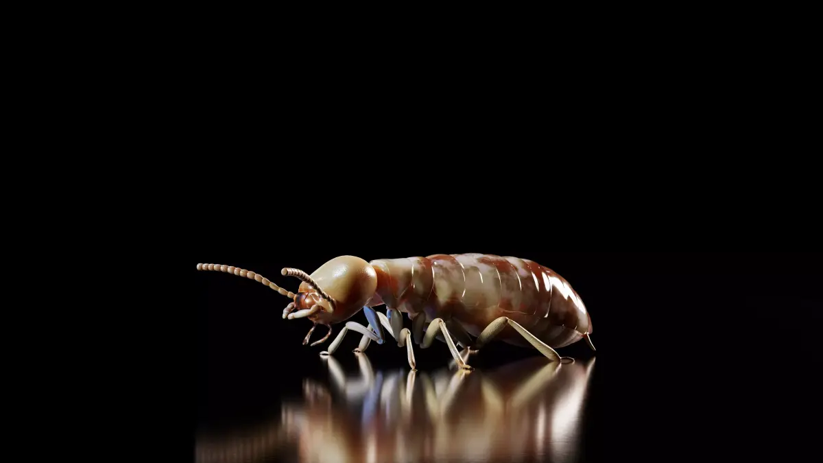 Termite PBR 3D Model 3D model