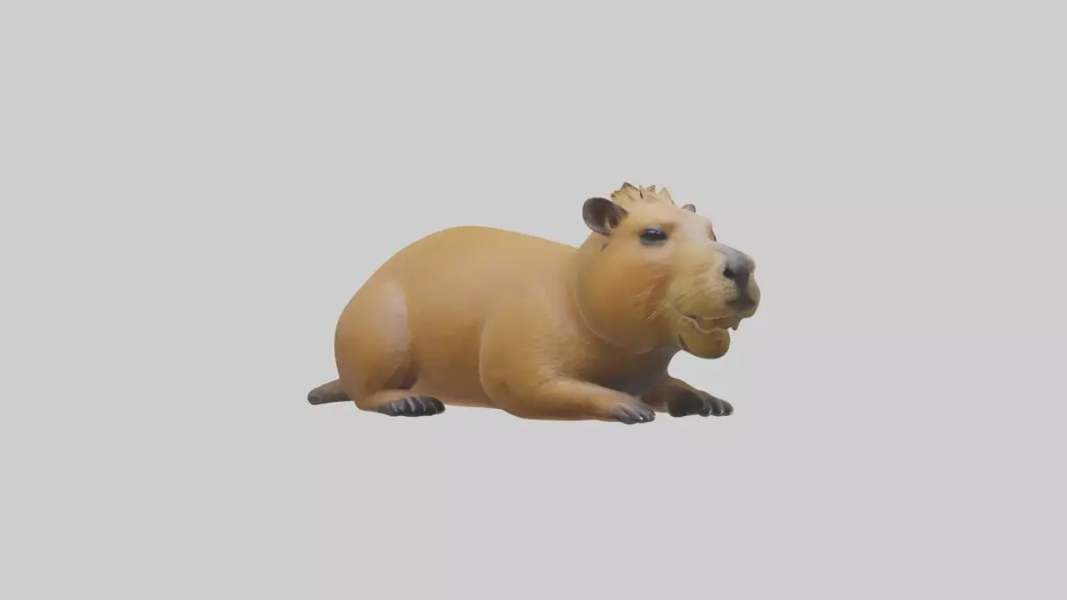 Capybara Model 1 Low-poly 3D model