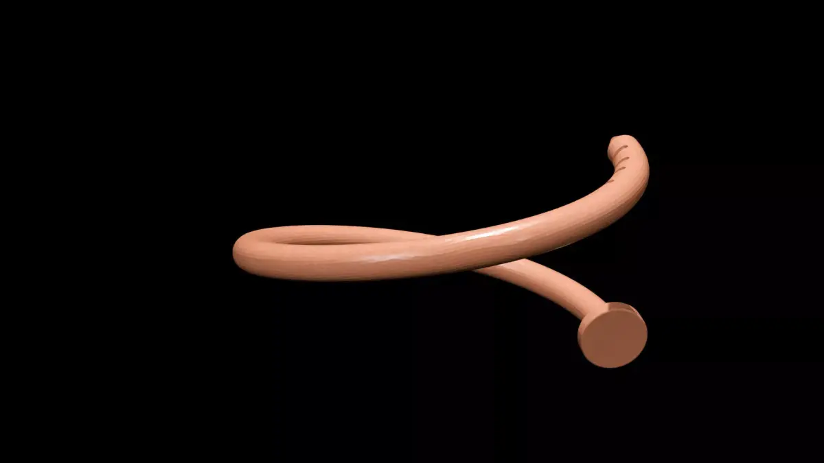 Nail Bracelet  3D Printable Jewelry Model 3D print model