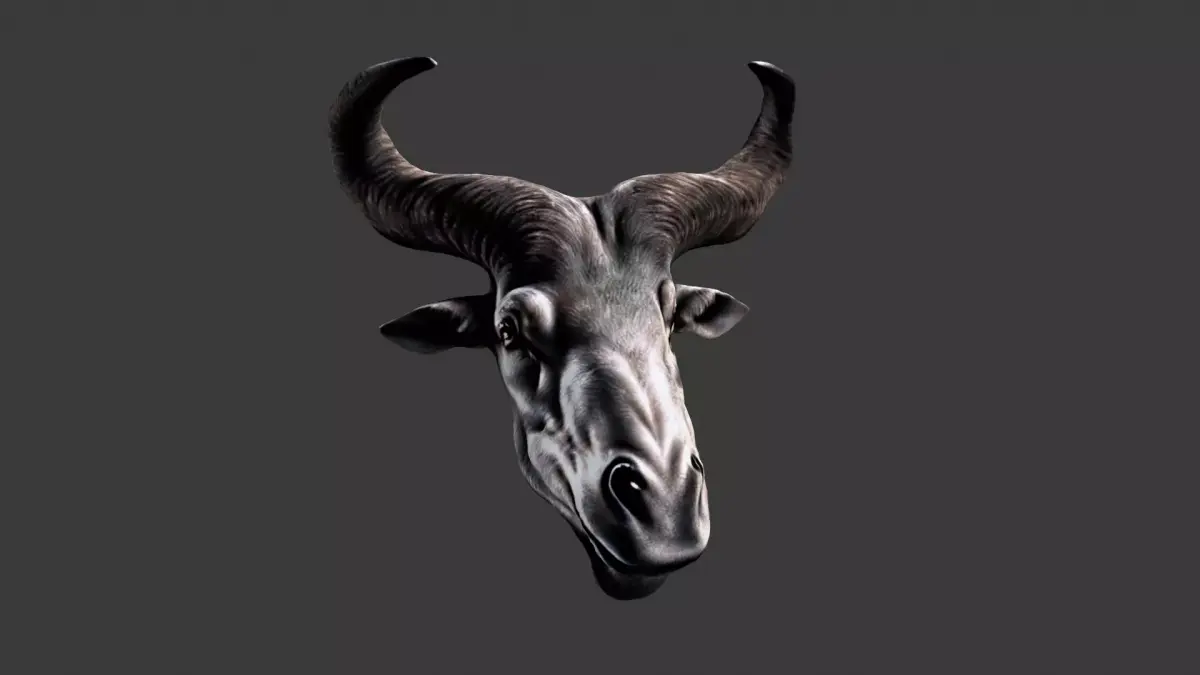 Deer Animal Head Low-poly 3D model 12