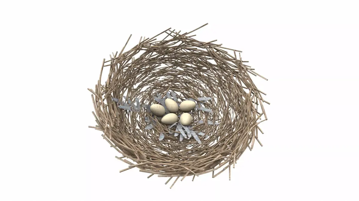Bird nest v2 3D model