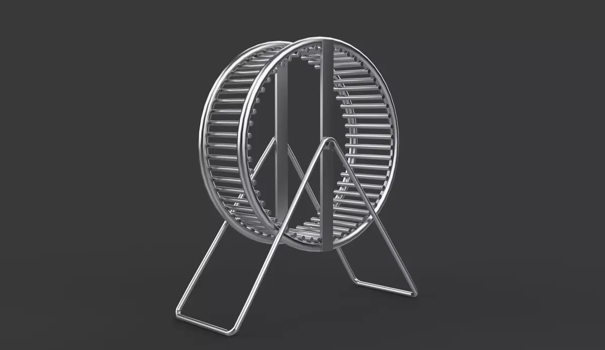 Hamster Wheel 3D model buy