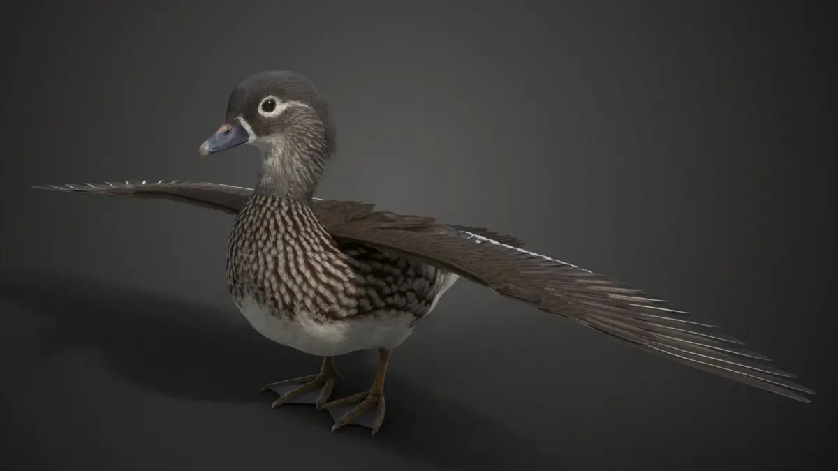 Mandarin Duck Female Animated VFX Grace 3D model