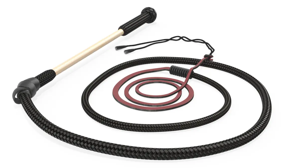 Historical Leather Whip Coiled Black 3D model