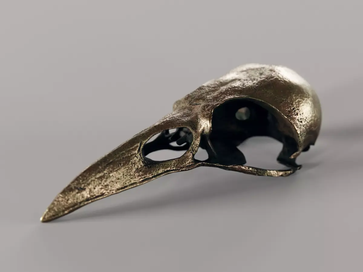 crow skull - bronze 3D model