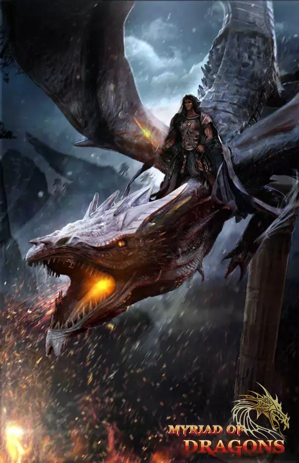 Dragon rider 3D model