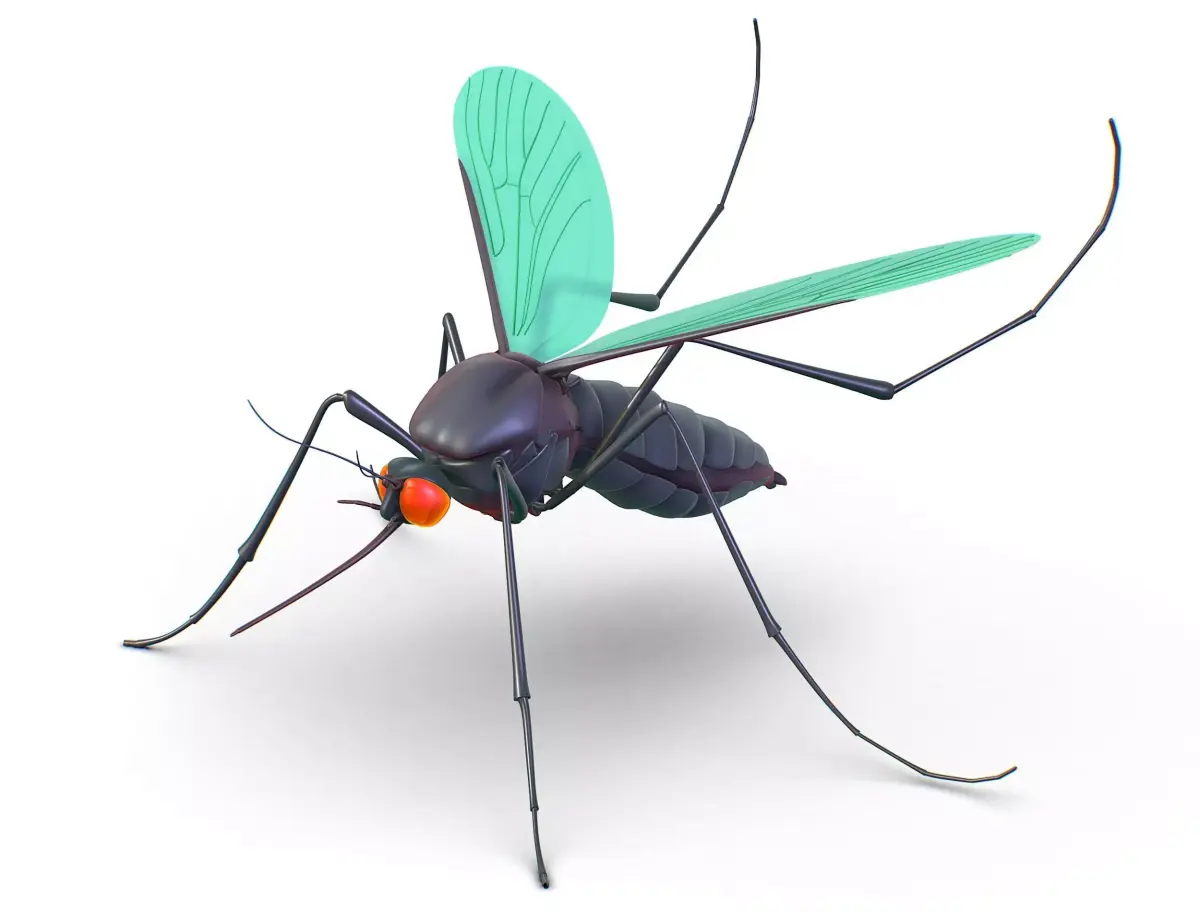 High Poly Big Realistic Mosquito Low-poly 3D model
