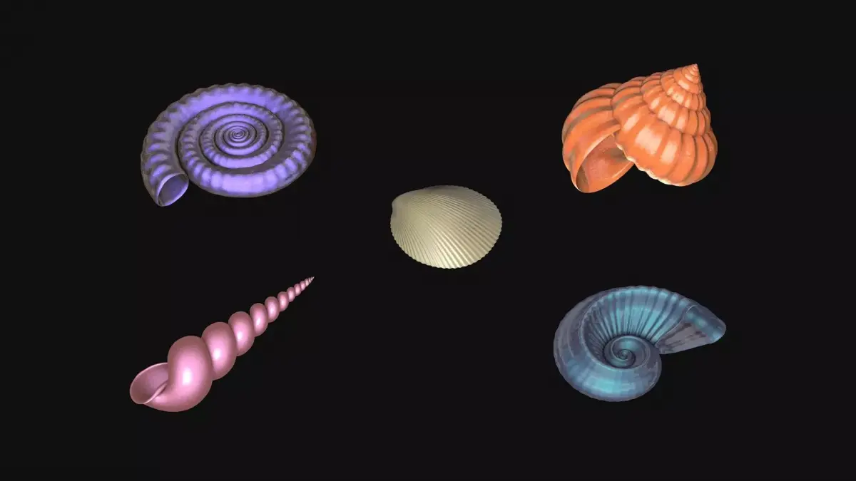 Shells and ammonites 3D model