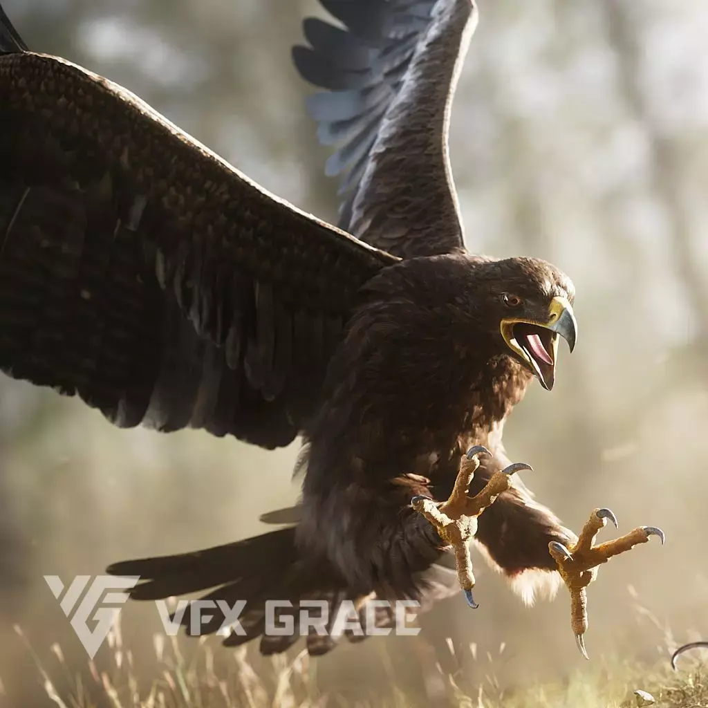 Aquila Nipalensis Animated VFX Grace 3D model