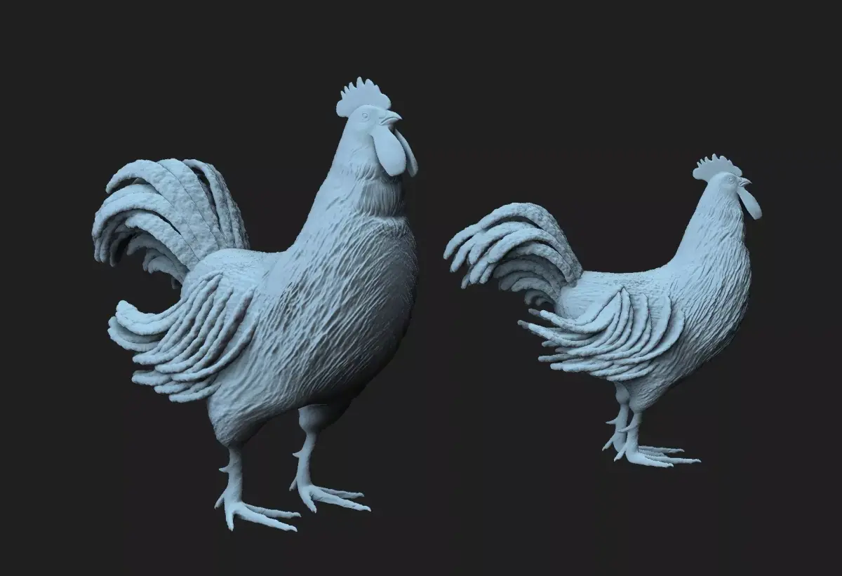 rooster 3D model buy