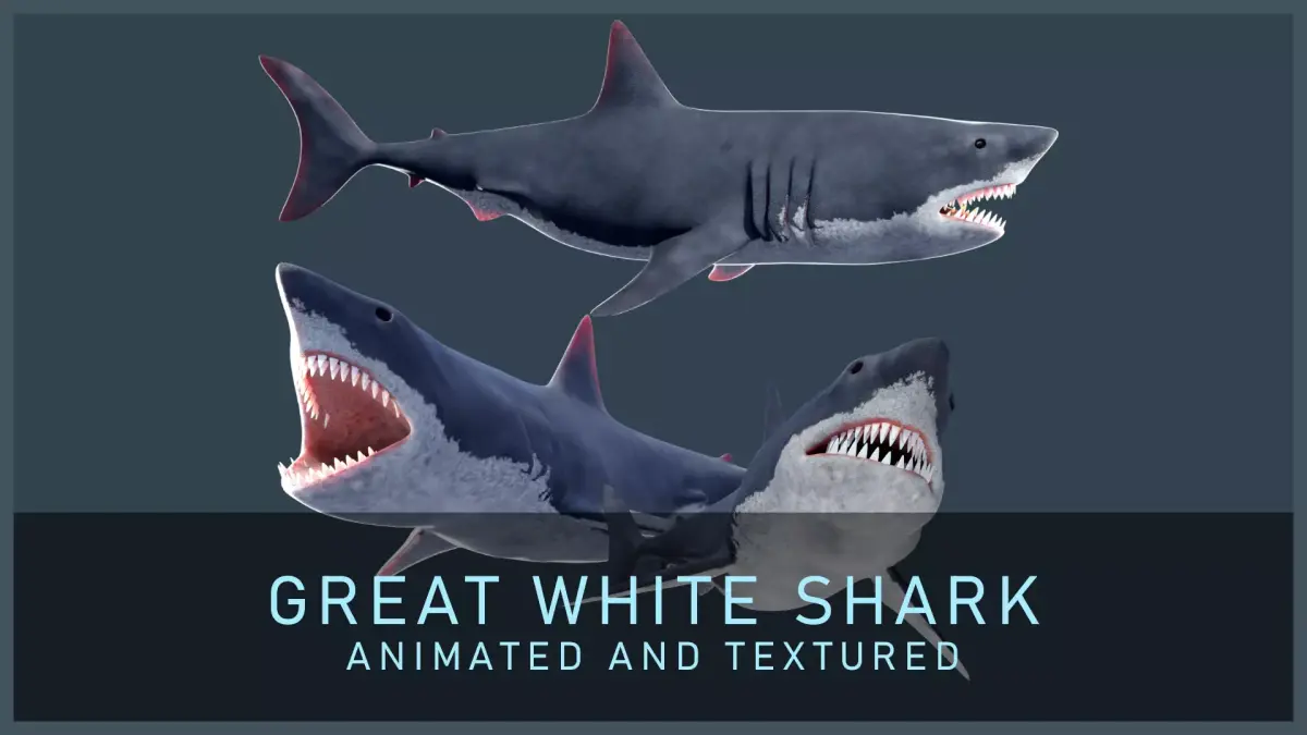 Animated Great White Shark Low-poly 3D model