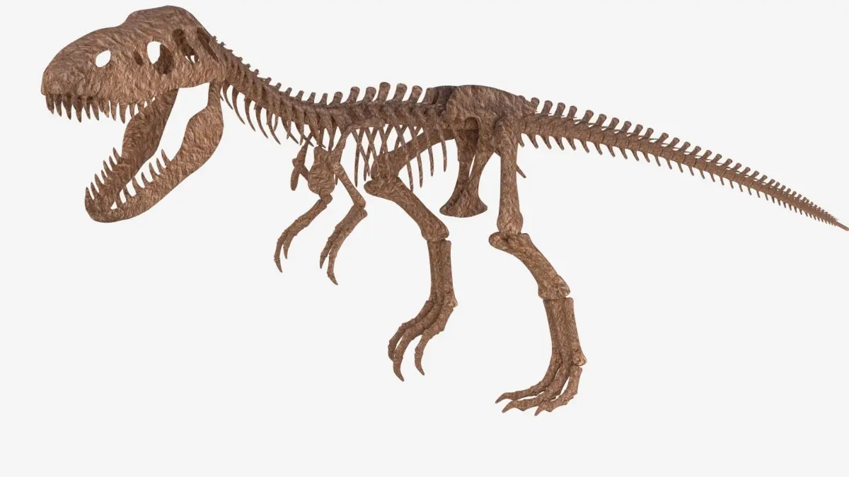 Tyrannosaurus Rex Skeleton 3D model