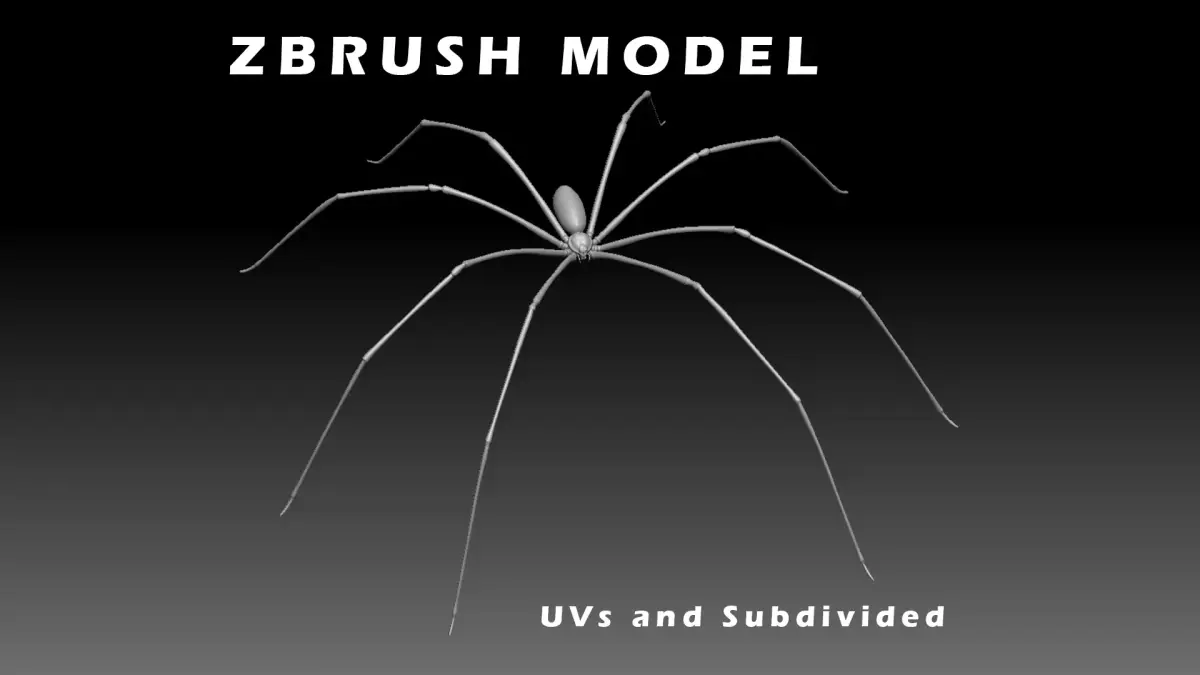 Daddy Long Legs Low-poly 3D model
