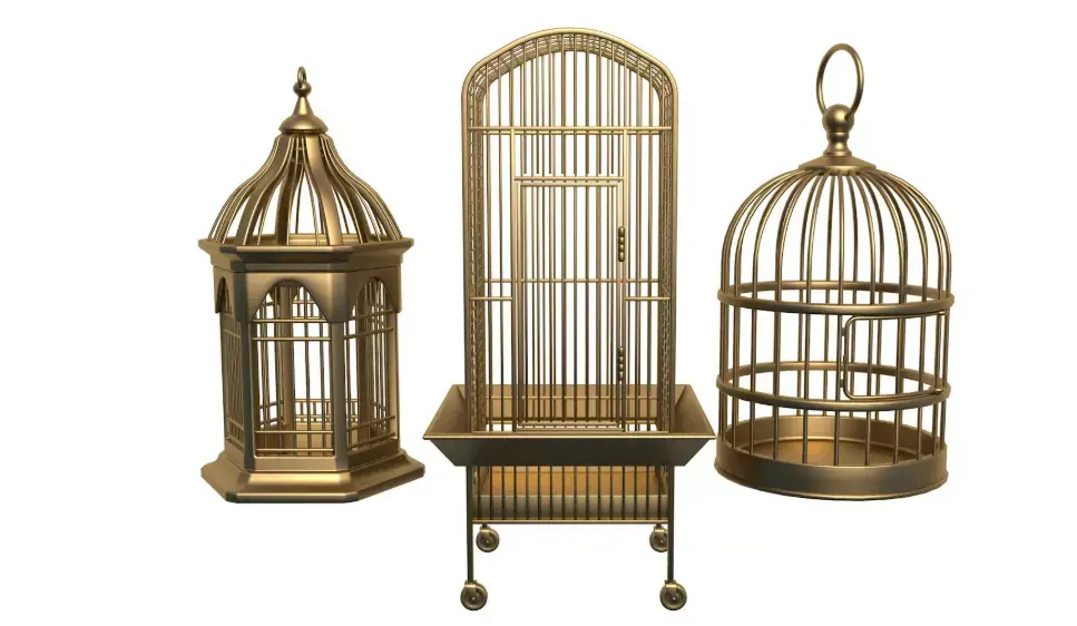 Bird Cage collection 3D model