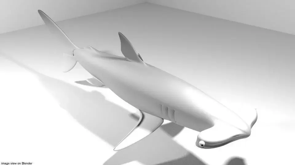 Shark - Hammerhead 3D model