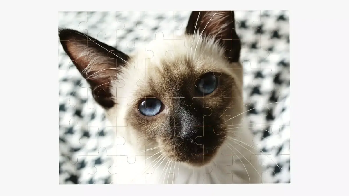 48-piece jigsaw puzzle Free 3D model