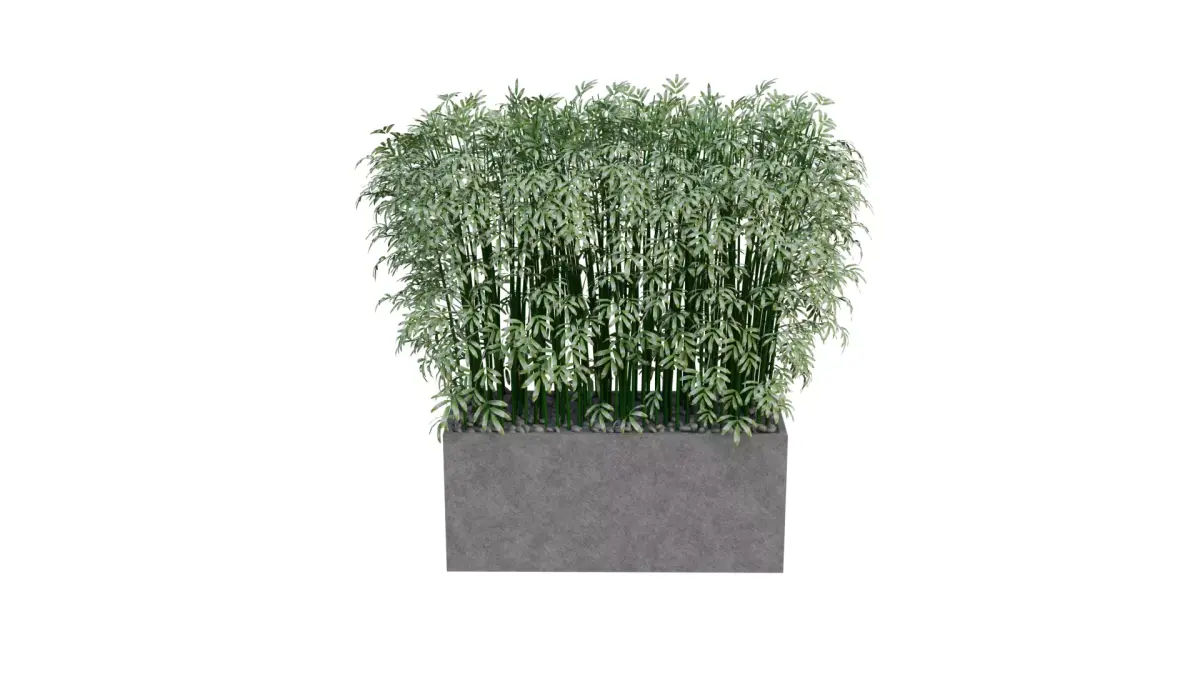 3D Bamboo Plant Model Realistic Potted Indoor Decoration Free low-poly 3D model