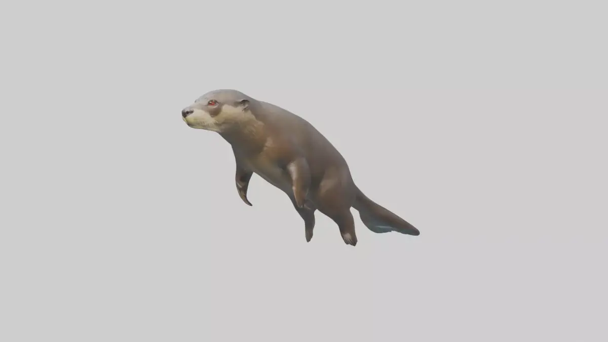 Giant Otter swimming model Low-poly 3D model