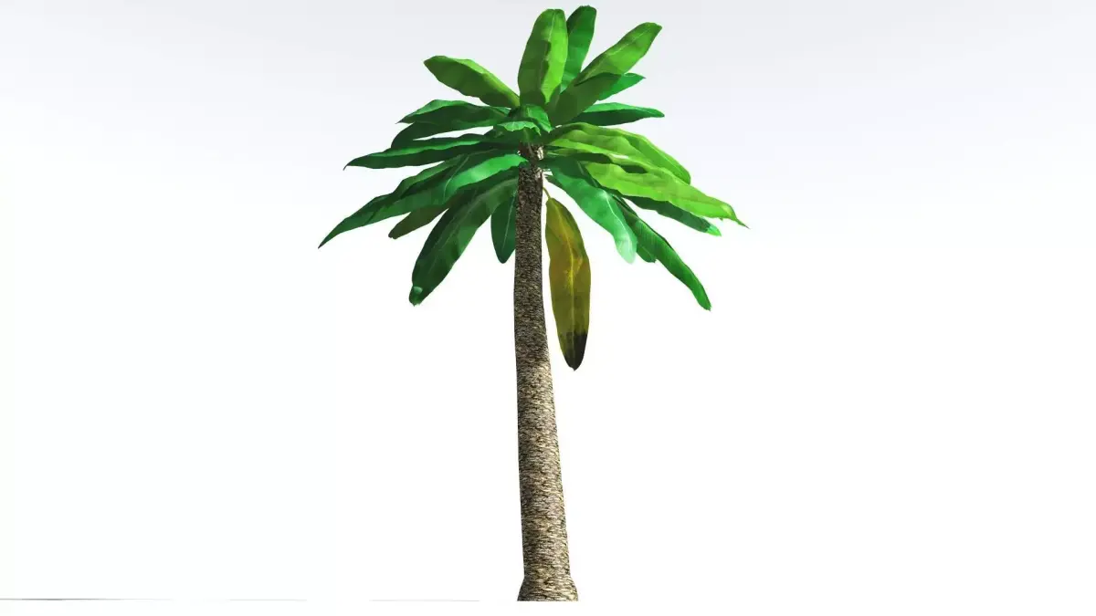 EVERYPlant Bjuvia Cycad LowPoly 2 --12 Models-- Low-poly 3D model