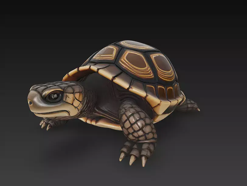 Turtle Realistic 3D Model - Low Poly Realistic Low-poly 3D model
