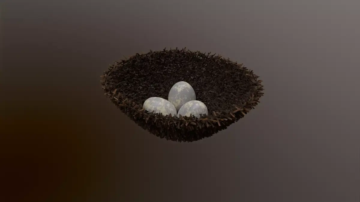 Bird nest 3D model buy
