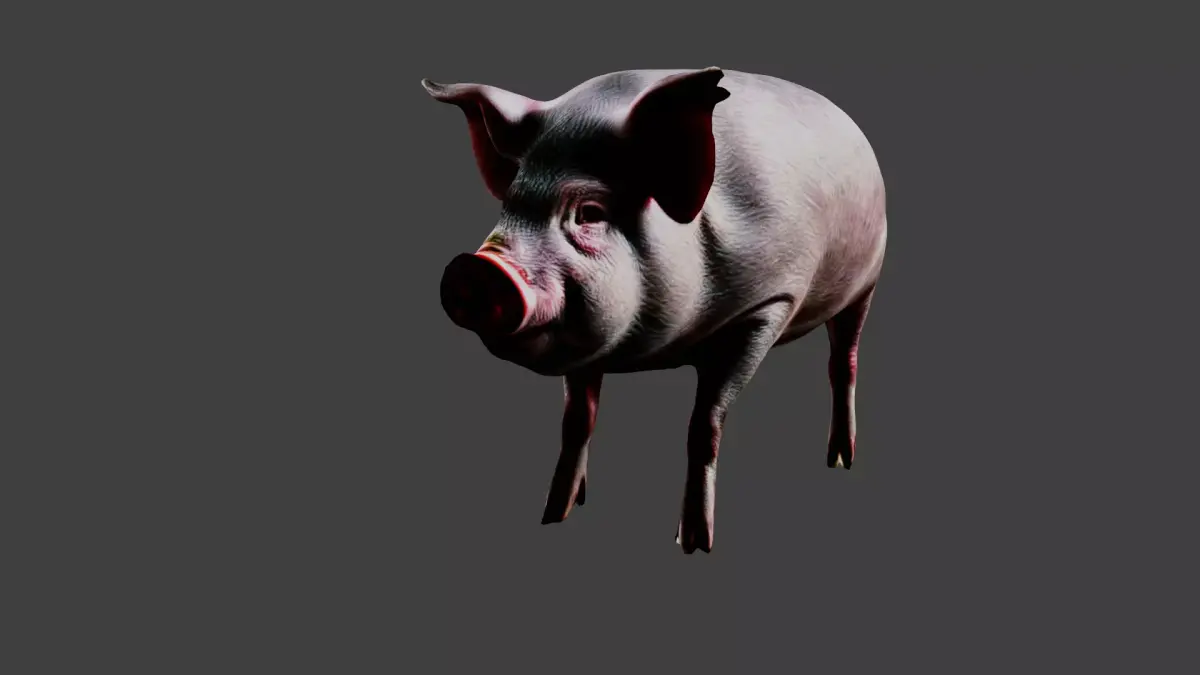 Pig Animal Low-poly 3D model buy
