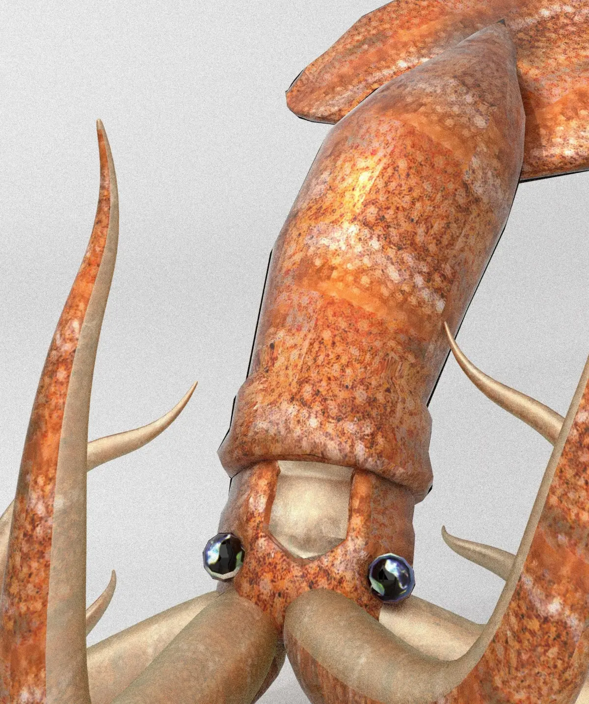 Squid octopus Low-poly 3D model