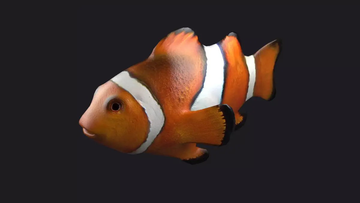 Clownfish Anemonefish Ocellaris fish aquarium tropical sea 3D model