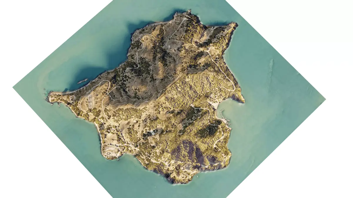 Angel Island terrain 3d model 3D model