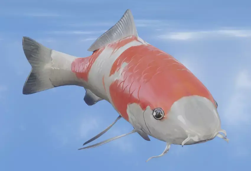 Koi Fish Lowpoly Animated Rigged Low-poly 3D model