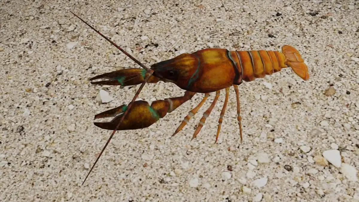 Crayfish Low-poly 3D model