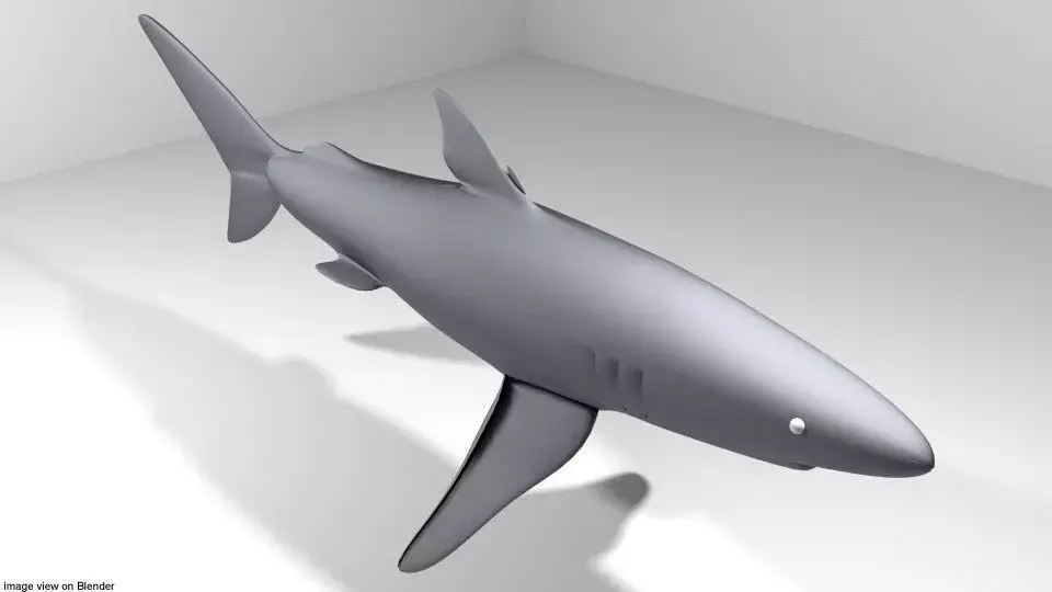 Shark - Blueshark 3D model
