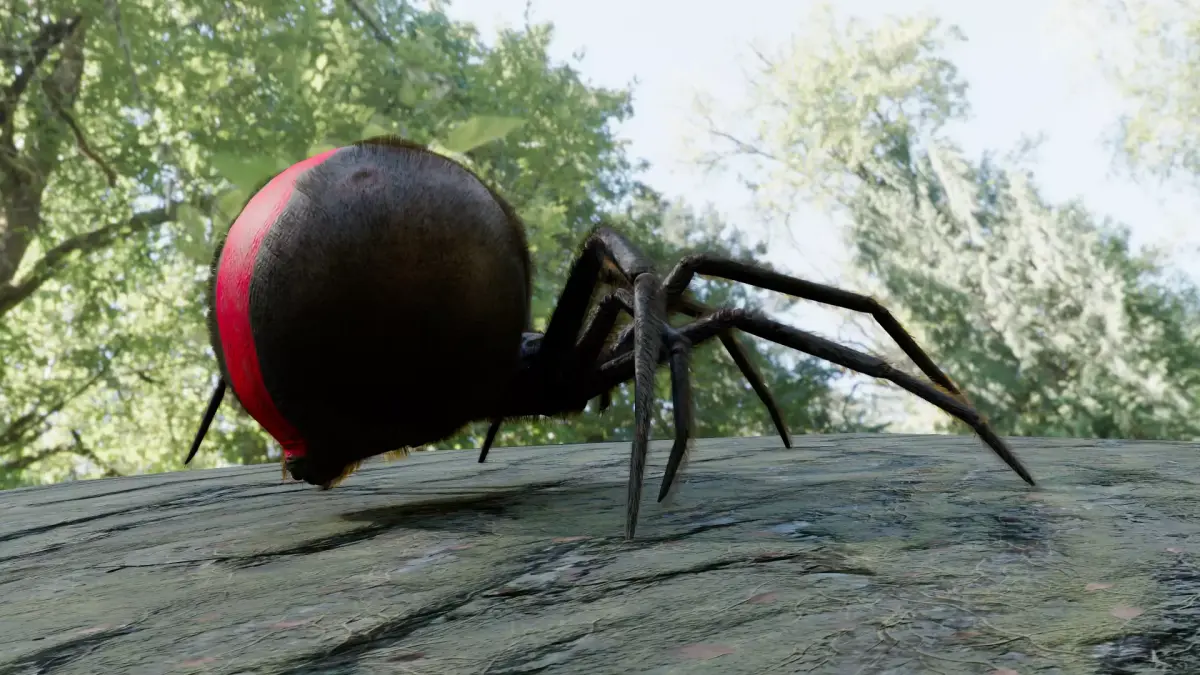 Spider Black Widow Low-poly 3D model