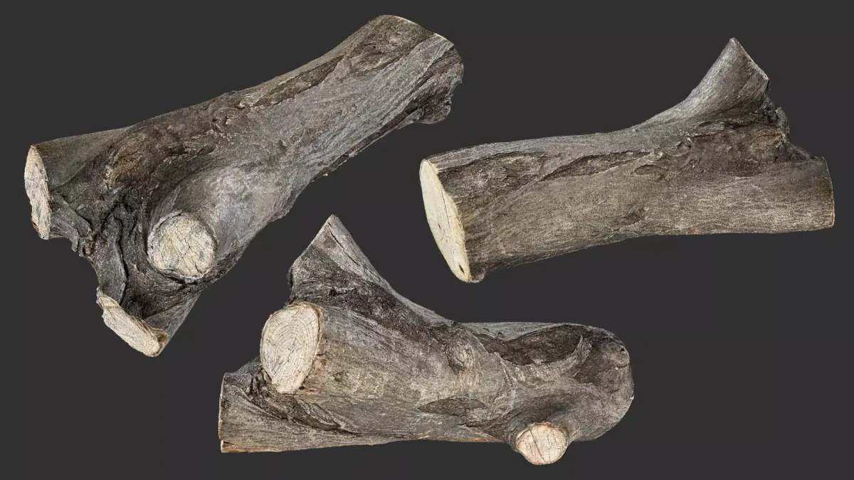 Piece of sawn tree wood 3d scan in highpoly 3D model