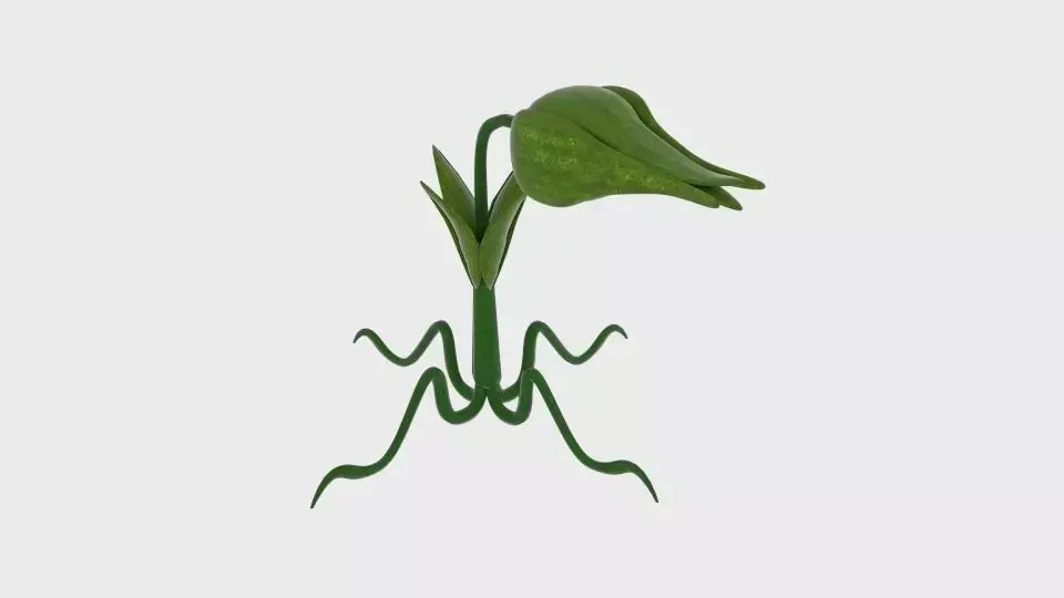  Cartoon Munch Plant  Low-poly 3D model