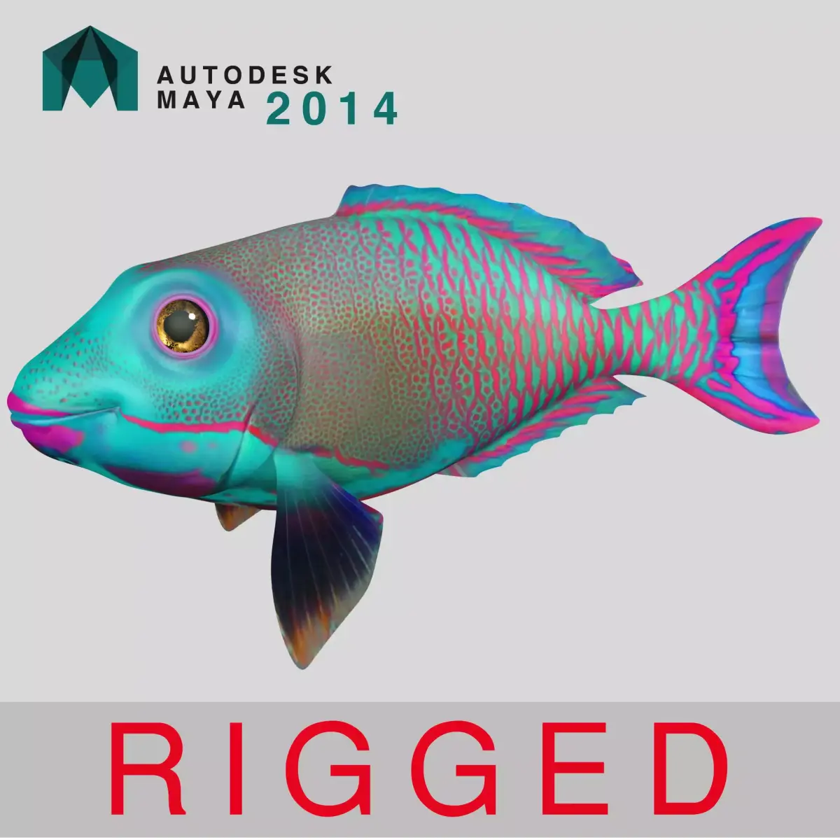 FISH RIGGED  3D model