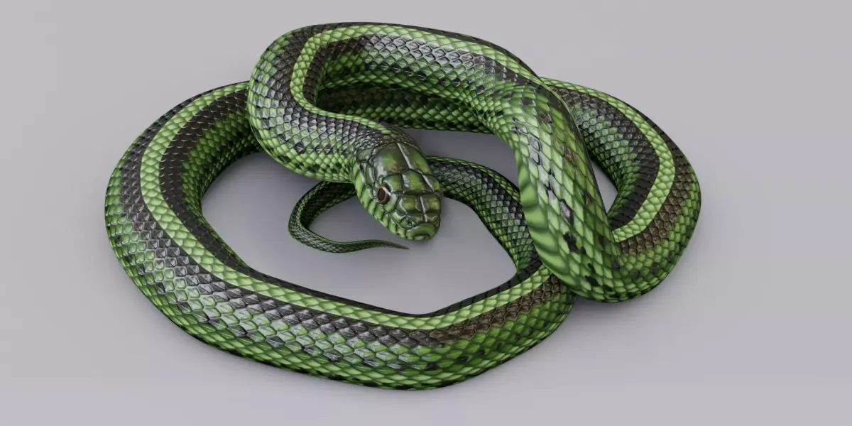 Rigged Green Snake Free 3D model