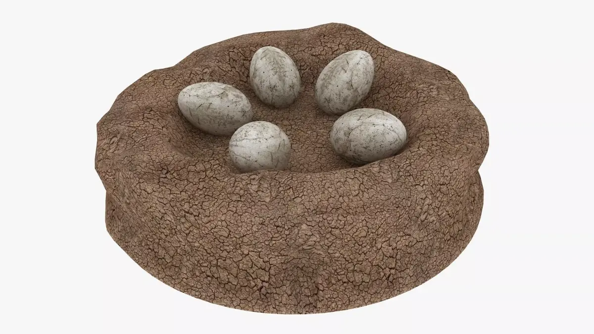 Dinosaur Egg Low-poly 3D model purchase