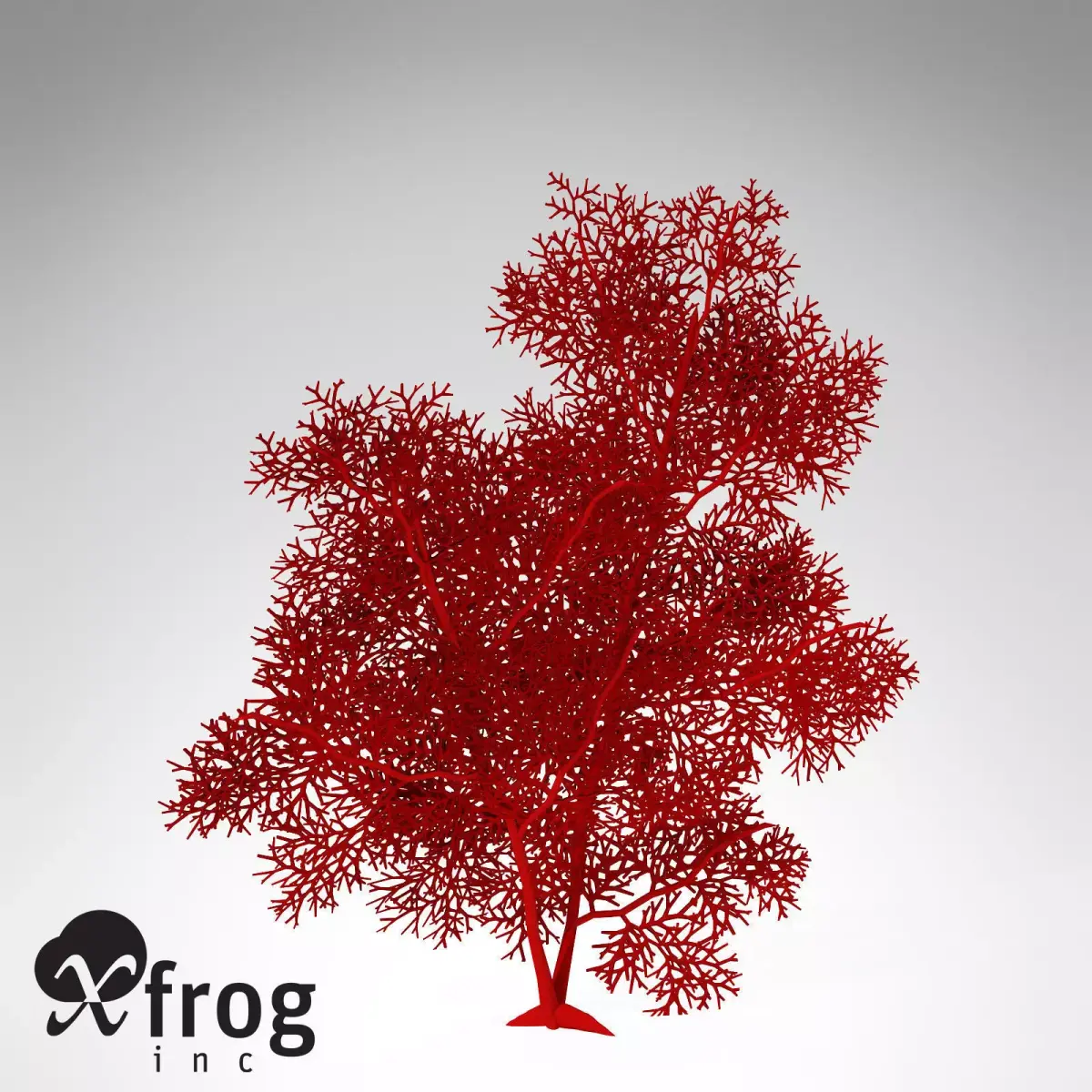 XfrogPlants Giant Sea Fan 3D model